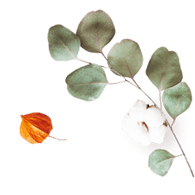 floating_image_07 https://www.janakollarova.com/wp-content/uploads/2020/10/floating_image_07.png