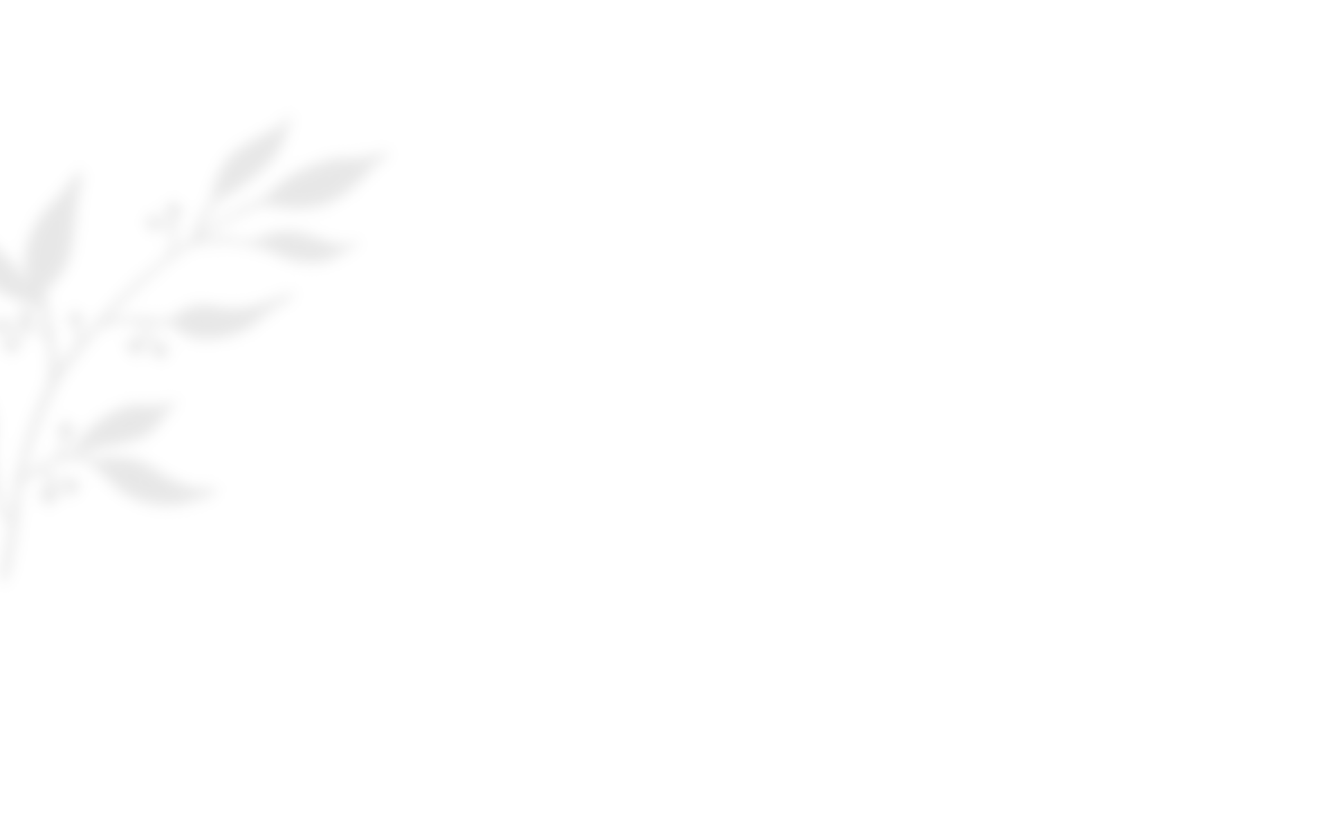 shadow_leaves_03 https://www.janakollarova.com/wp-content/uploads/2020/10/shadow_leaves_03.png