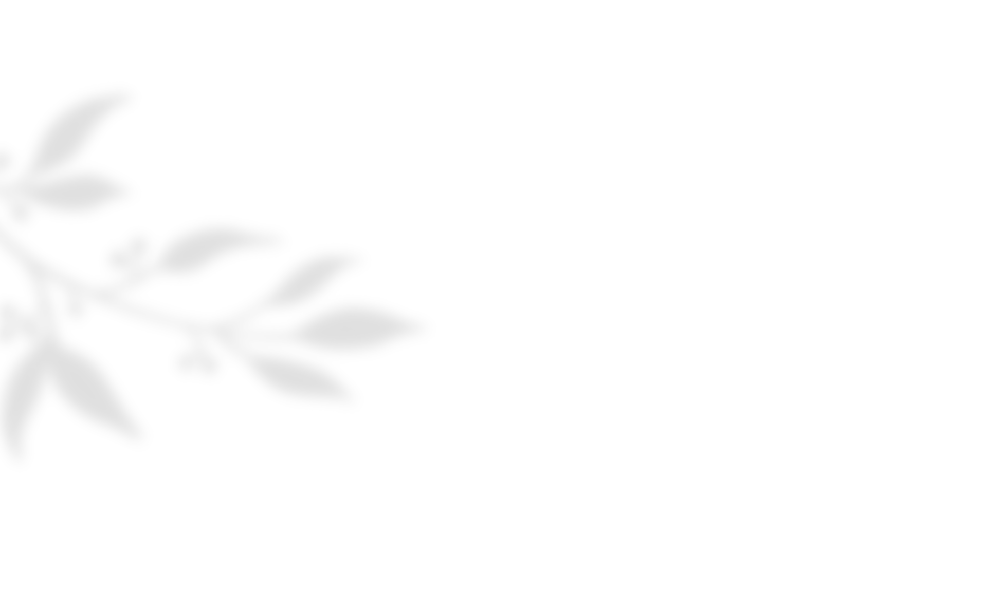 shadow_leaves_04 https://www.janakollarova.com/wp-content/uploads/2020/10/shadow_leaves_04.png