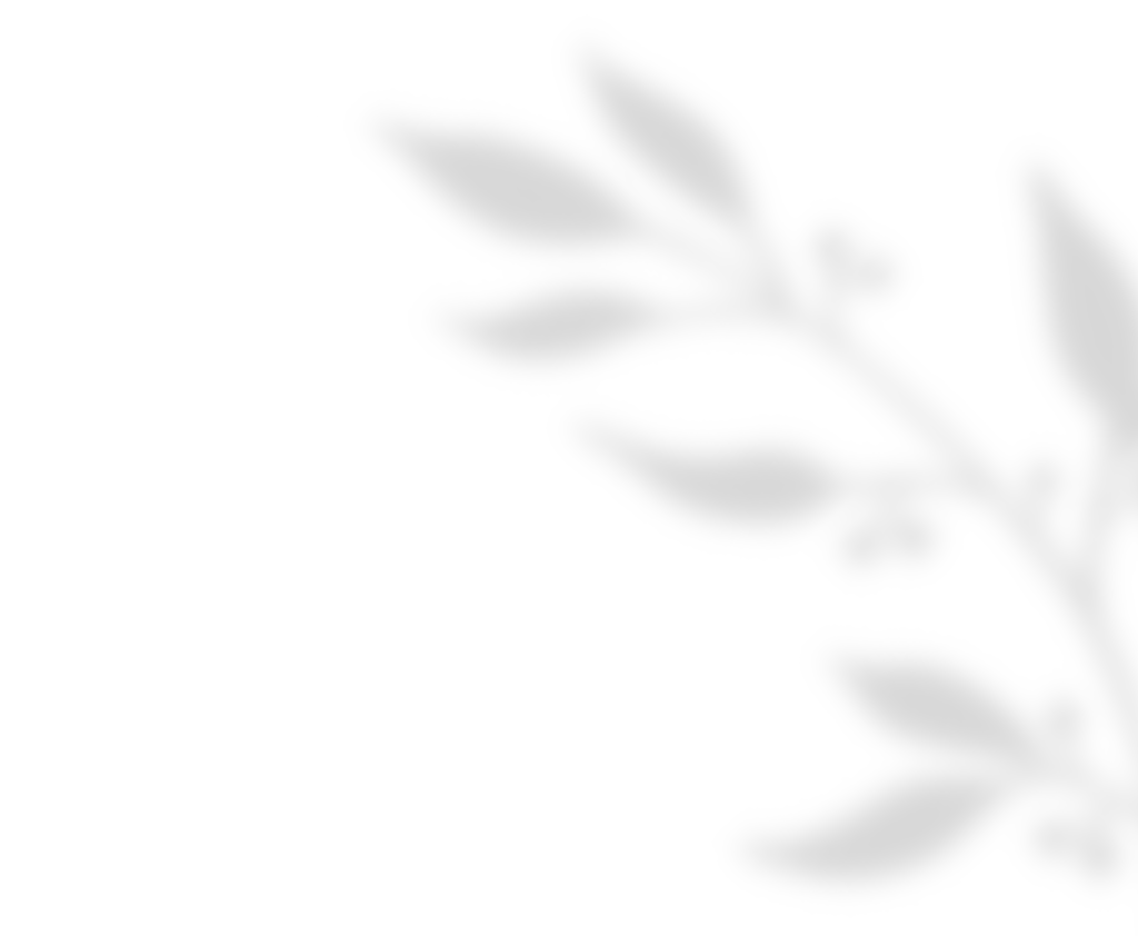 shadow_leaves_01 https://www.janakollarova.com/wp-content/uploads/2020/11/shadow_leaves_01.png