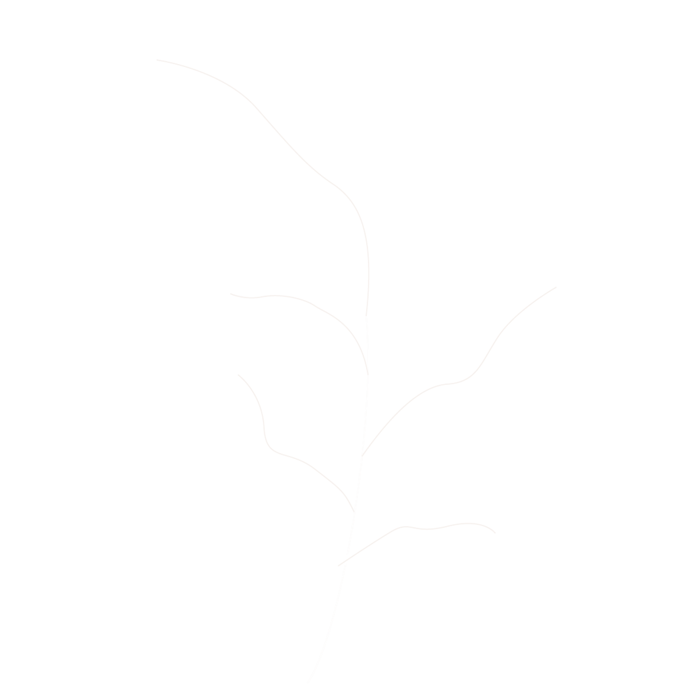 https://www.janakollarova.com/wp-content/uploads/2020/12/Leaves_couples_04.png
