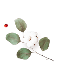 https://www.janakollarova.com/wp-content/uploads/2020/12/floating_image_flower_01.png